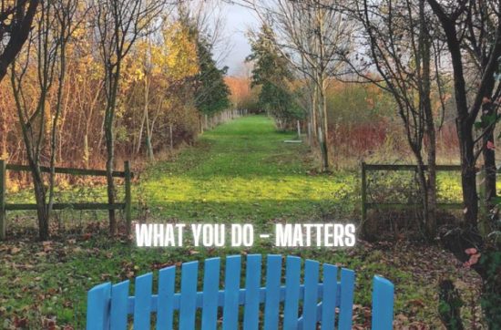 Picture of a blue gate and a long avenue in front of it - writing saying 'what you do matters'
