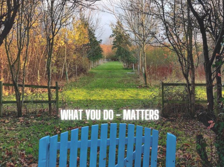 Picture of a blue gate and a long avenue in front of it - writing saying 'what you do matters'