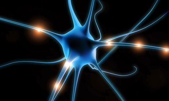this picture of a neuron is an illustration of an article talking about the connection between the mind and the body