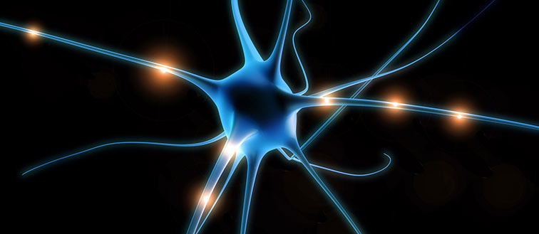 this picture of a neuron is an illustration of an article talking about the connection between the mind and the body