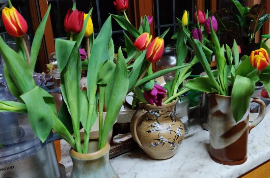 vases of flowers by a window
